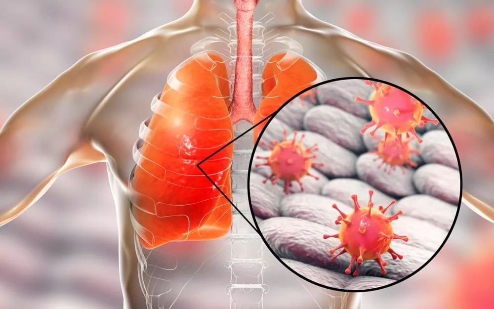 九游官方入口-关于风云突变浙江稠州转会期完成体检,德国杯版图或变,引发热议,医务组通报恢复的信息